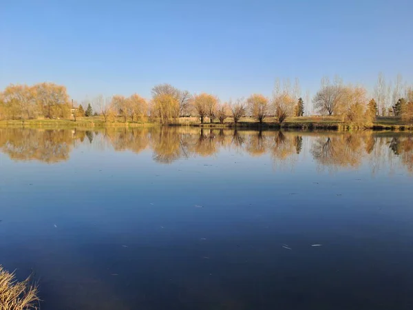 Renkli sonbahar yapraklarını yansıtan bir göletin sakin yüzeyini barındıran huzurlu bir manzara.