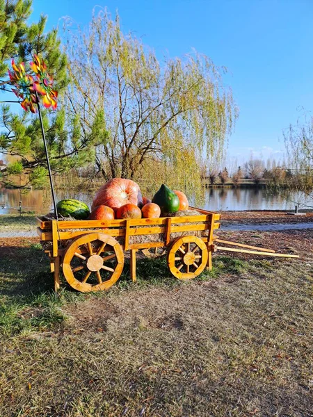 Dev balkabaklarıyla, kabaklarıyla ve karpuzla dolu dekoratif ahşap bir vagon. Huzurlu bir gölette oturur. Uzakta söğüt ağacı ve küçük bir fırıldak vardır.
