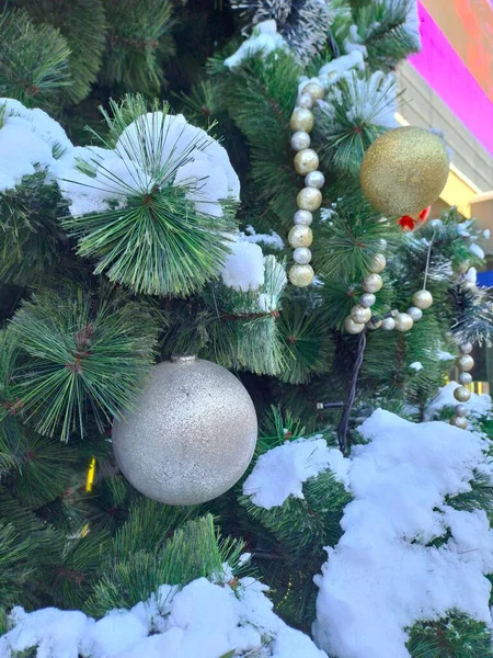 Işıl ışıl, yuvarlak gümüş bir mücevher, yemyeşil iğneler ve beyaz sahte kar aksanıyla çevrili, şenlikli yapay bir çam dalına sarkıyor.