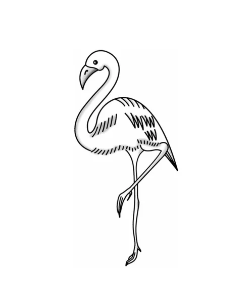 Bosquejo Tatuaje Arte Digital Flamingos Garza — Archivo Imágenes Vectoriales