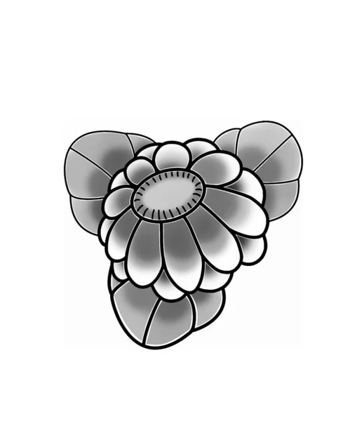 Dijital Sanat Vektörü İllüstrasyonu Japon Çiçeği