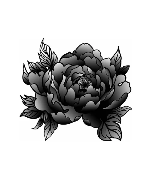 Şakayık sanat eskizi siyah beyaz