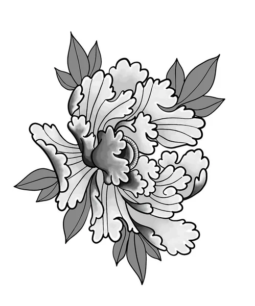 Vektör Sanatı İllüstrasyonu Japonya şakayığı