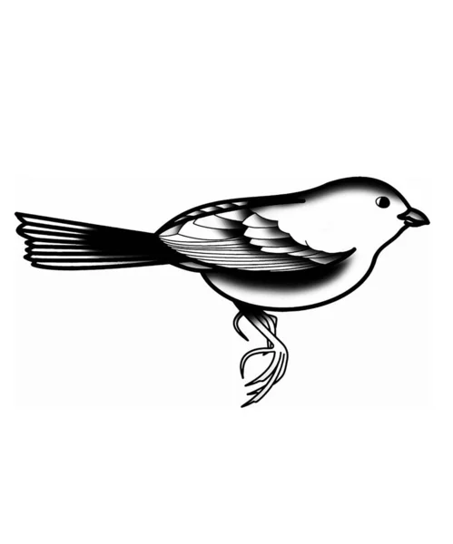 Vektör sanat illüstrasyon serçesi