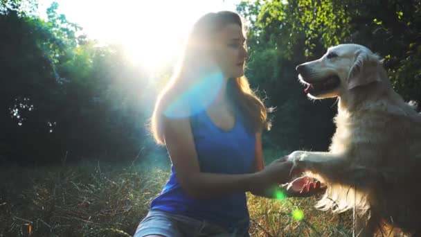 Jeune fille jouant et étreignant chien dans le parc — Video