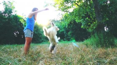 Genç kız çok şirin bir Golden Retriever ile parkta eğlenceli oyun, bir tedavi, ağır çekim, köpek yiyecek almak için atlama besle