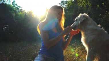 Genç kız oynama ve sarılmak köpek park Kiev 04.07.16