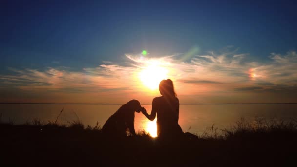 Woman hugs her dog at sunset on the beach — Stock Video