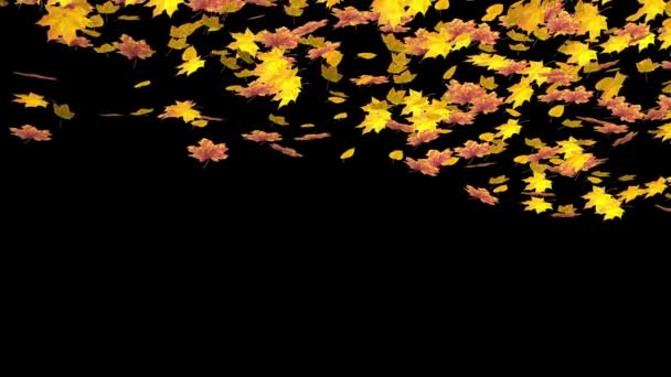 Реалистичное падение листьев с альфа-маской — стоковое видео