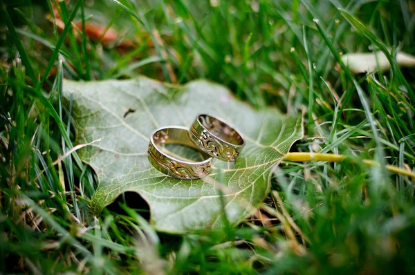 Trouwringen op een blad en gras — Stockfoto