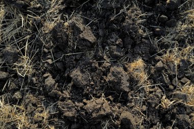 siyah toprak toprak pulluk kurudur