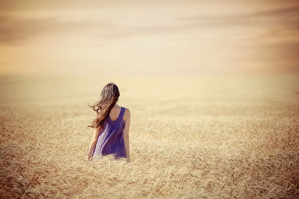 Chica en el campo de trigo — Foto de Stock