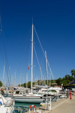 Güneşli bir marinada beyaz yelkenli yatlar ve motorlu tekneler.