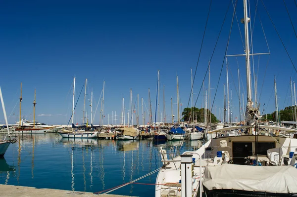 Yatları ve beyaz katamaranları olan lüks bir marinanın güneşli manzarası.