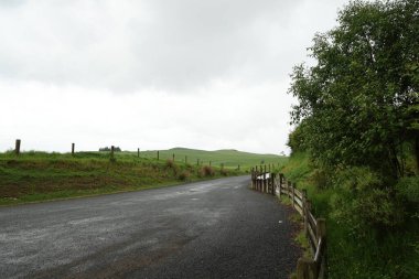 Bulutlu gökyüzünün altında kırsal alanda ıslak bir yol var.
