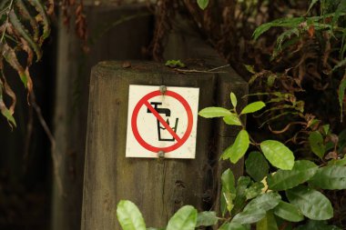 Yıpranmış işaret, sık yapraklı orman yapraklarının arasında duruyor.