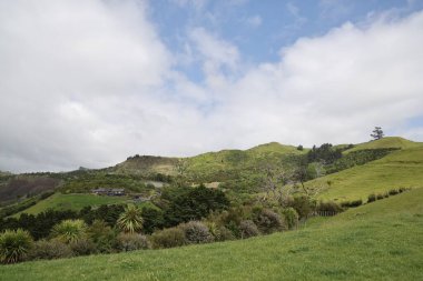 Uzak kırsal bölgeler yemyeşil arazi manzarası gösteriyor.