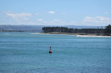 Yumuşak dağınık bulutların altında sakin kıyı suları okyanus ufku