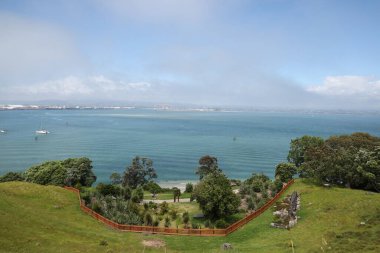 Güneşli bakış açısı, çimenli yamaçların ötesinde sakin bir su olduğunu gösteriyor.