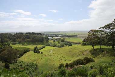 Güneşli kırsal bölgeler uzak ufuk çayırlarına doğru uzanır.