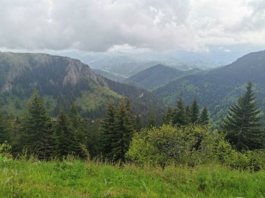 Yeşil dağ vadisinin panoramik manzarası. Çam ormanı ve kayalık uçurumlarla kaplı. Tepelerin üzerinde dramatik bulutlar var.