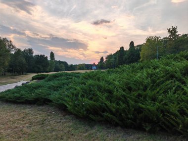 Yeşil çalılar, ağaçlar ve dramatik bir gün batımı olan manzaralı bir park manzarası huzurlu bir akşam manzarası yaratır.
