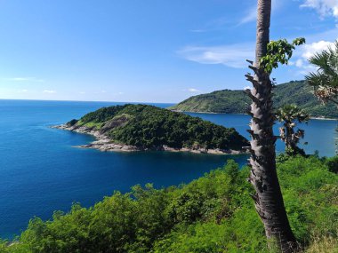 Berrak gökyüzünün altında sakin mavi denizle çevrili küçük yeşil adaya bakan palmiye ağaçlarıyla manzaralı kıyı manzarası