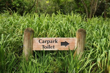 Yeşillik bitkilerin ortasındaki otopark tuvaletinin yönünü gösteren bir imza.