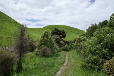 Bulutlu gökyüzünün altındaki çimenli tepeler çimen çayırları.