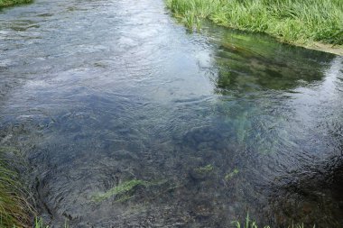 Su taşların üzerinde yemyeşil çimenlerin yanında akıntılar şeffaf kaya çakıl taşları