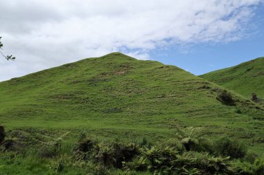 Bereketli eğreltiotu ön planda mavi tepe çimen yamaç bulutları açık havada gün ışığı
