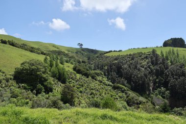 Yumuşak bulutların altında yemyeşil çayır kanyonu uzanır.