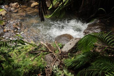 Bereketli taşların yanında berrak girdaplar Güneş ışığı