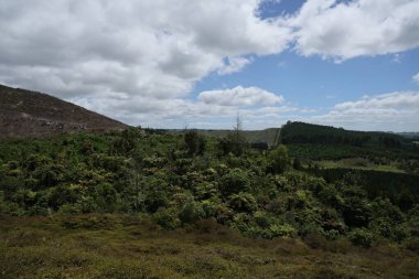 Uzak kırsal bölgeler bulutların altında yoğun bitkiler olduğunu gösteriyor.