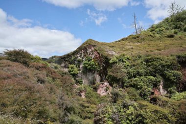 Güneşli arazi engebeli vadi vadisindeki yoğun bitkileri gösteriyor.