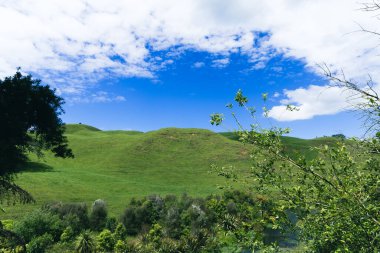 Güneşli kırsal alan, yemyeşil çayırlık vadiyi gösteriyor.