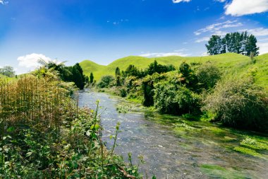 Berrak su rüzgarları, açık kırsal arazi bitki akıntısı yamacını geçiyor.