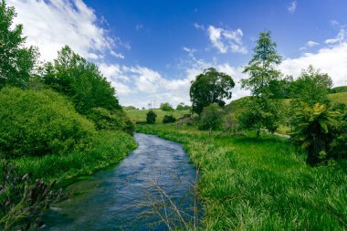 Sakin su canlı kırsal bitki örtüsü akıntısı arasında akar.