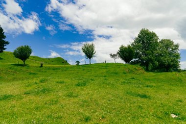 Yuvarlanan kırsal bölgeler bulutların altında çimenli bir yükseliş gösteriyor.