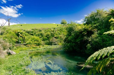Yoğun yamaçların altından temiz su akar. Nehir ırmak deresi gölet lagünü.