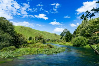 Sakin sular canlı tepeleri aşar. Ağaçlar akıntılı yamaçtaki çayırları geçer.