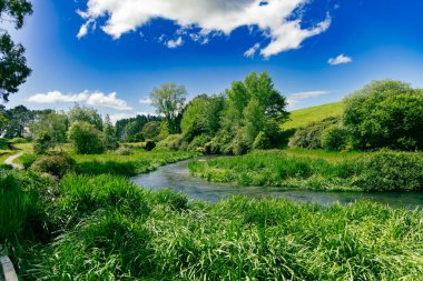 Sakin kırsal su yolu canlı bitki ırmağının içinden esiyor.