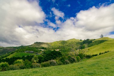 Parlak bulutların altındaki verimli kırsal yamaçlar, değişen çayır manzarası.