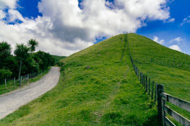 Kıvrımlı patika, parlak gökyüzü çayırlarının altında yemyeşil bir yamaçtan geçiyor.