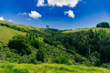 Yuvarlanan kırsal bölgeler, canlı cennet manzarası çayırlarının altında yoğun yapraklar gösteriyor.