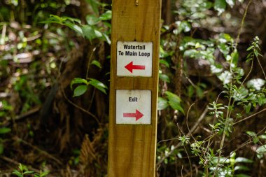 Orman yolu rehberi ok işaretini bırakarak düşme yönündeki seçenekleri gösterir