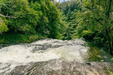 Yoğun yeşil vadi manzarasının yanında köpüren akarsu damlaları.