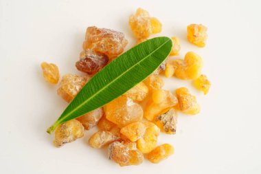 Tütsü veya olibanum aromatik reçine tütsü ve parfümlerde kullanılır..