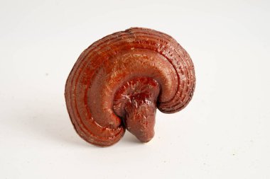 Lingzhi ya da kapsüllü Reishi mantarı, organik ve sağlıklı yiyecekler..