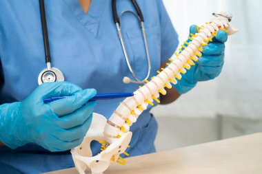 Omurga ve kemik modeli taşıyan Asyalı doktor, ortopedi bölümünde tedavi için bel kemiği yerinden oynamış disk parçası..